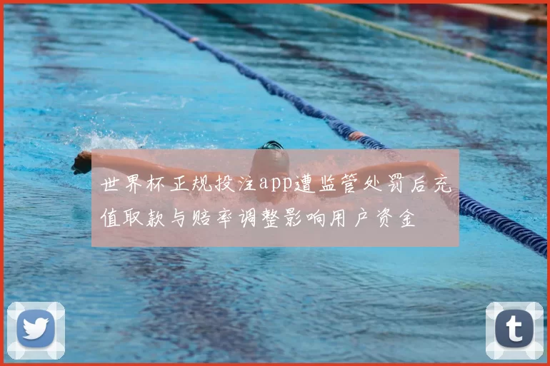世界杯正规投注app遭监管处罚后充值取款与赔率调整影响用户资金