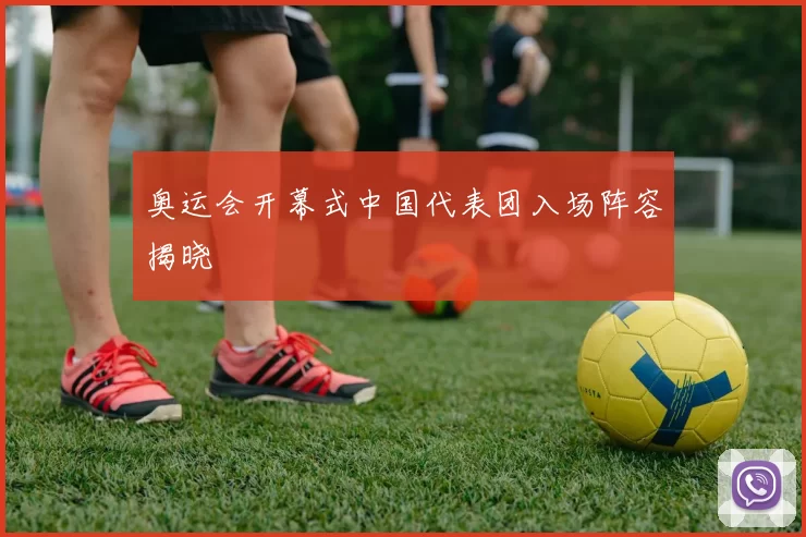 奥运会开幕式中国代表团入场阵容揭晓